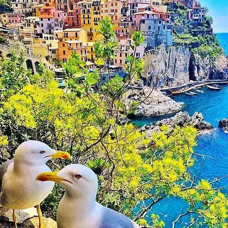 Holiday Via Bonviaggio